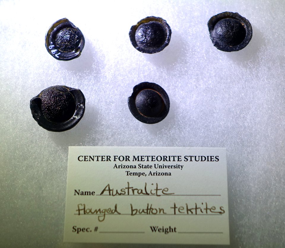 Flanged button tektites, Australite - Center for Meteorite Studies - Arizona State University - Tempe, AZ - DSC05859