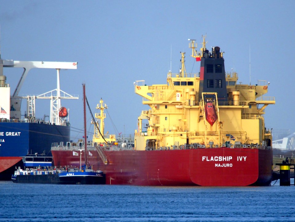 Flagship Ivy (ship, 2011) IMO 9520869 Port of Rotterdam