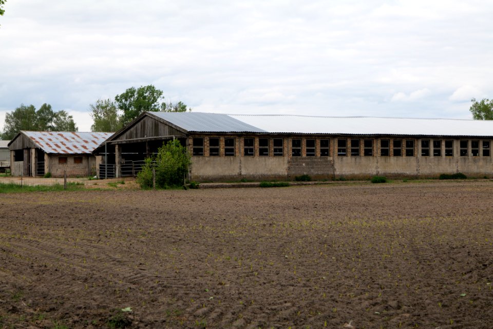 Fledermausquartier Stallgebäude in Linum 2020-05-15 14