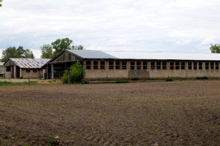Fledermausquartier Stallgebäude in Linum 2020-05-15 14