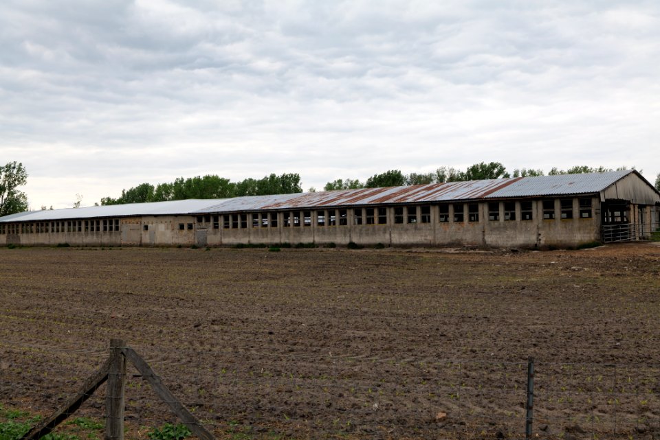 Fledermausquartier Stallgebäude in Linum 2020-05-15 08
