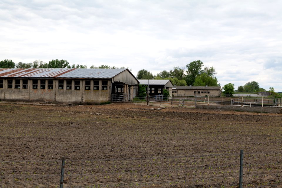 Fledermausquartier Stallgebäude in Linum 2020-05-15 05