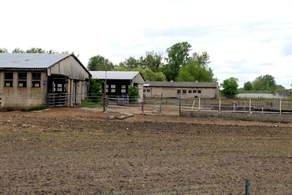 Fledermausquartier Stallgebäude in Linum 2020-05-15 03