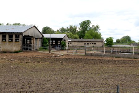 Fledermausquartier Stallgebäude in Linum 2020-05-15 03
