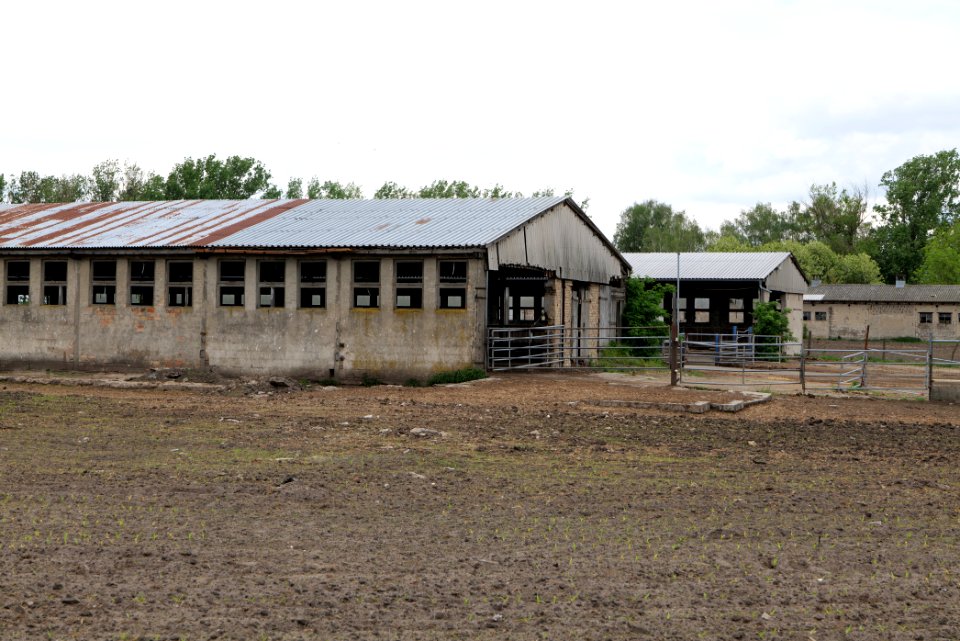 Fledermausquartier Stallgebäude in Linum 2020-05-15 02