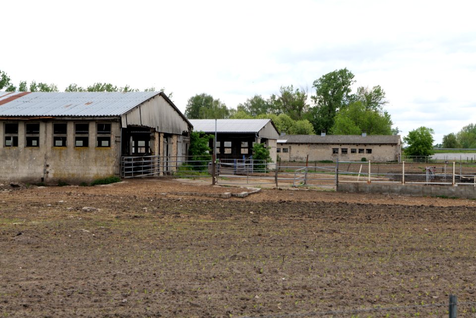 Fledermausquartier Stallgebäude in Linum 2020-05-15 04