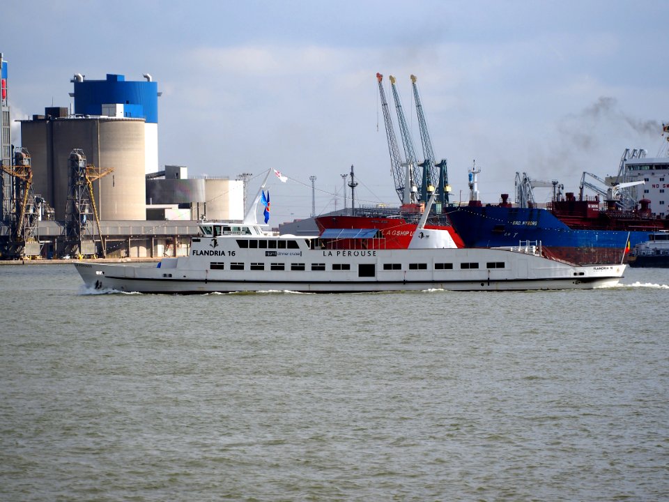 Flandria 16 - ENI 06004057 - IMO 7736995 at Port of Antwerp pic2