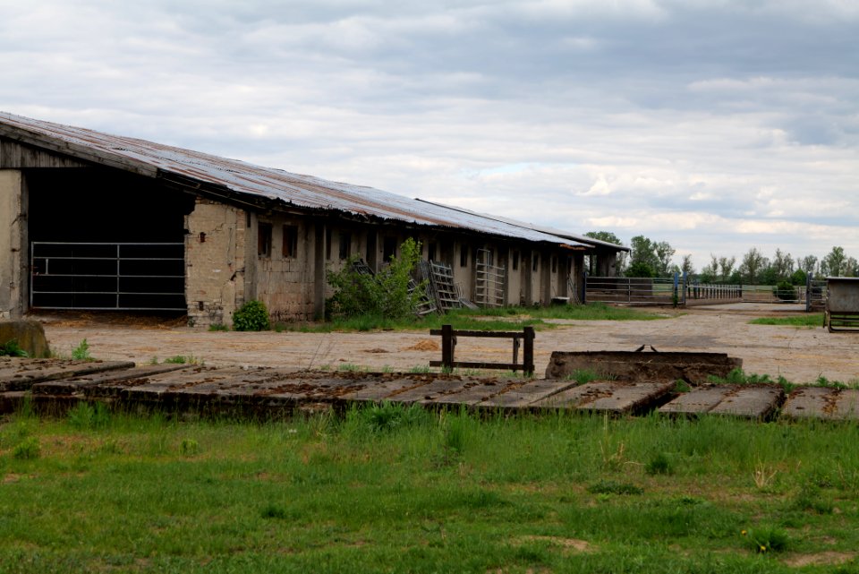 Fledermausquartier Stallgebäude in Linum 2020-05-15 19