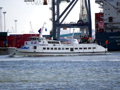 Flandria 16 - ENI 06004057 - IMO 7736995 at Port of Antwerp pic1
