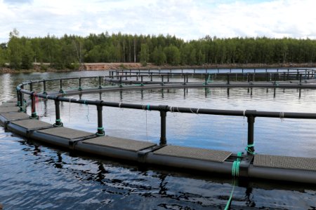 Fish farming Martinniemi Oulu 20200713 02