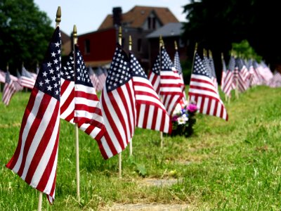 Flags, Homewood Cemetery, 2015-05-19, 01