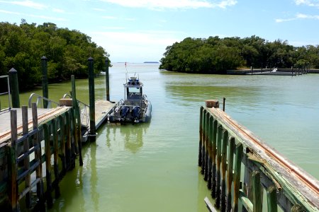 Flamingo Marina - Everglades National Park - DSC09387