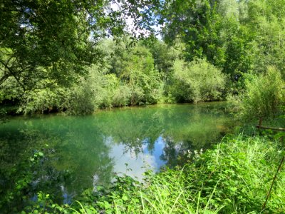Fischweiher 4