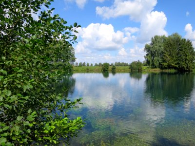 Fischweiher 1
