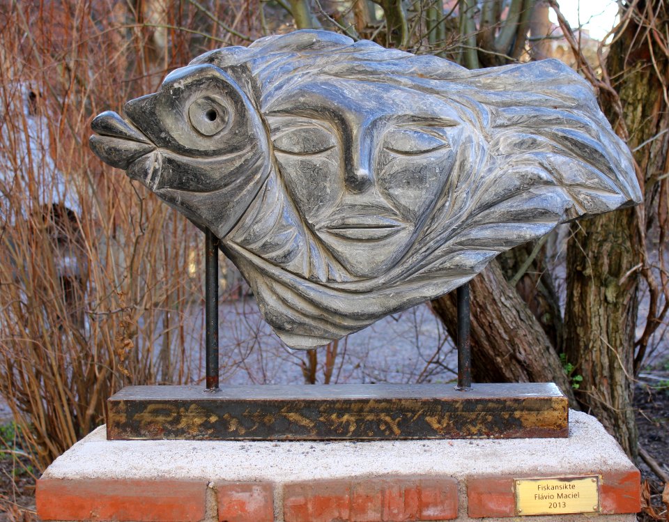 Fiskansikte 2014a