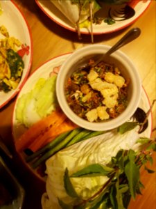 Fish lap - Chiang Mai - 2017-07-09 (001)