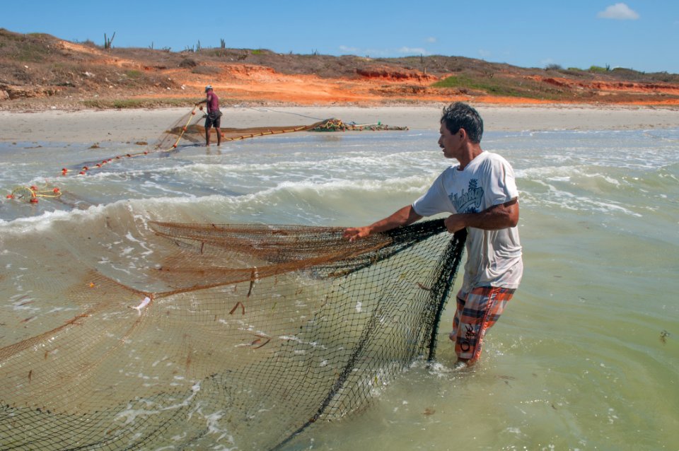 Fish in El Manglillo m