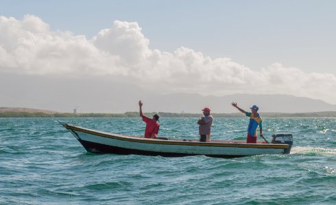 Fish in El Manglillo km photo