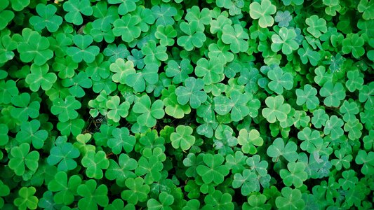Green background land