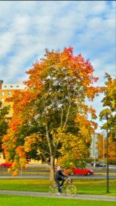 FI-Tampere-20131007 155754 HDR