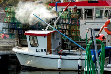 Fisherman cleaning lobster traps in Norra Grundsund 2 photo