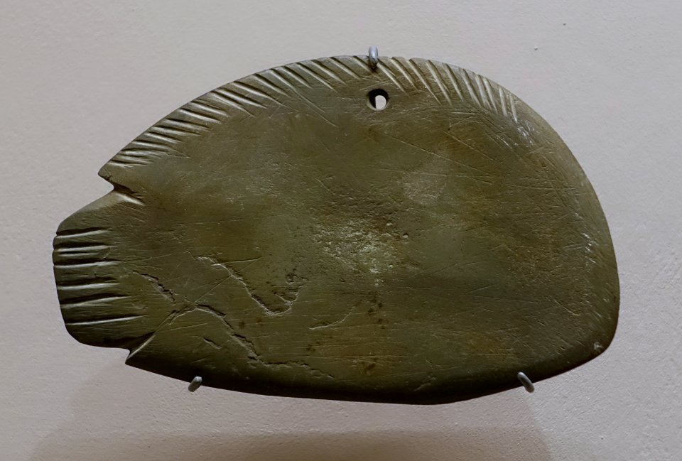 Fish palette, Egypt, Predynastic Period, c. 4500-3100 BC, slate - Harvard Semitic Museum - Cambridge, MA - DSC06195