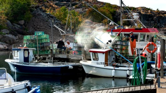 Fishermen preparing lobster traps in Norra Grundsund 1 photo