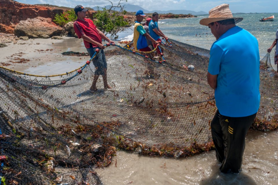 Fish in El Manglillo
