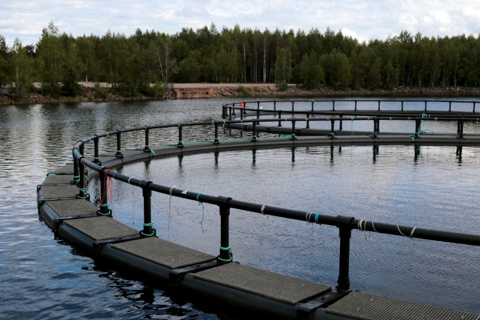 Fish farming Martinniemi Oulu 20200713 01