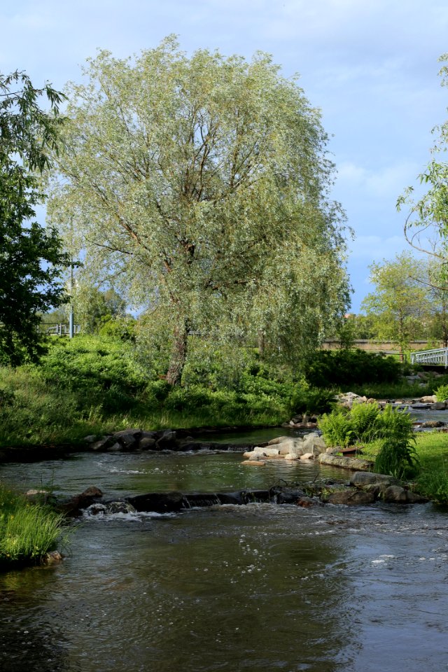 Fishway Merikoski Oulu 20190623 02