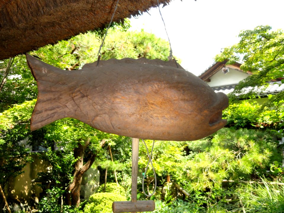 Fish, Okinado Hall - Gichuji - Otsu, Shiga - DSC06850