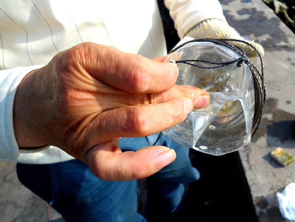 Fish traps in Haikou -.man shows fish release location