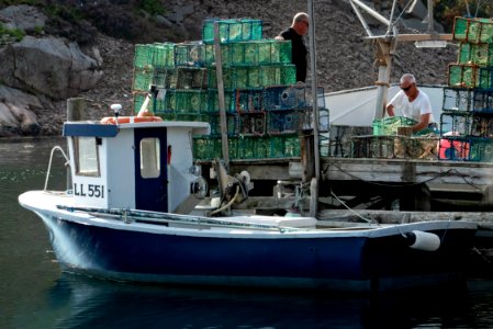 Fishermen preparing lobster traps in Norra Grundsund 3 photo