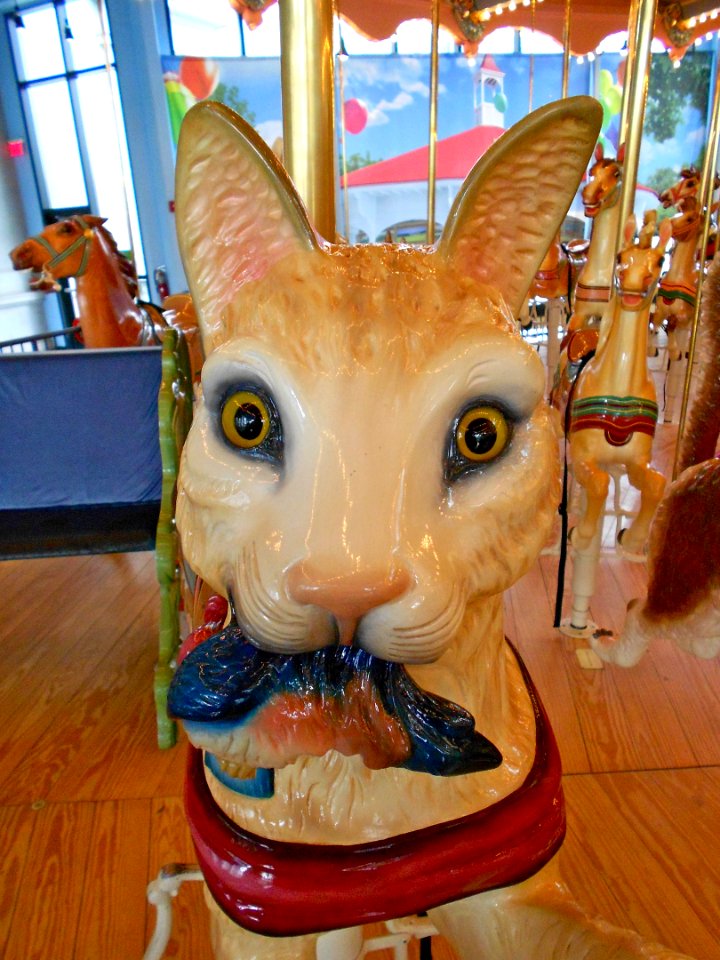 Fish face Carousel Philly