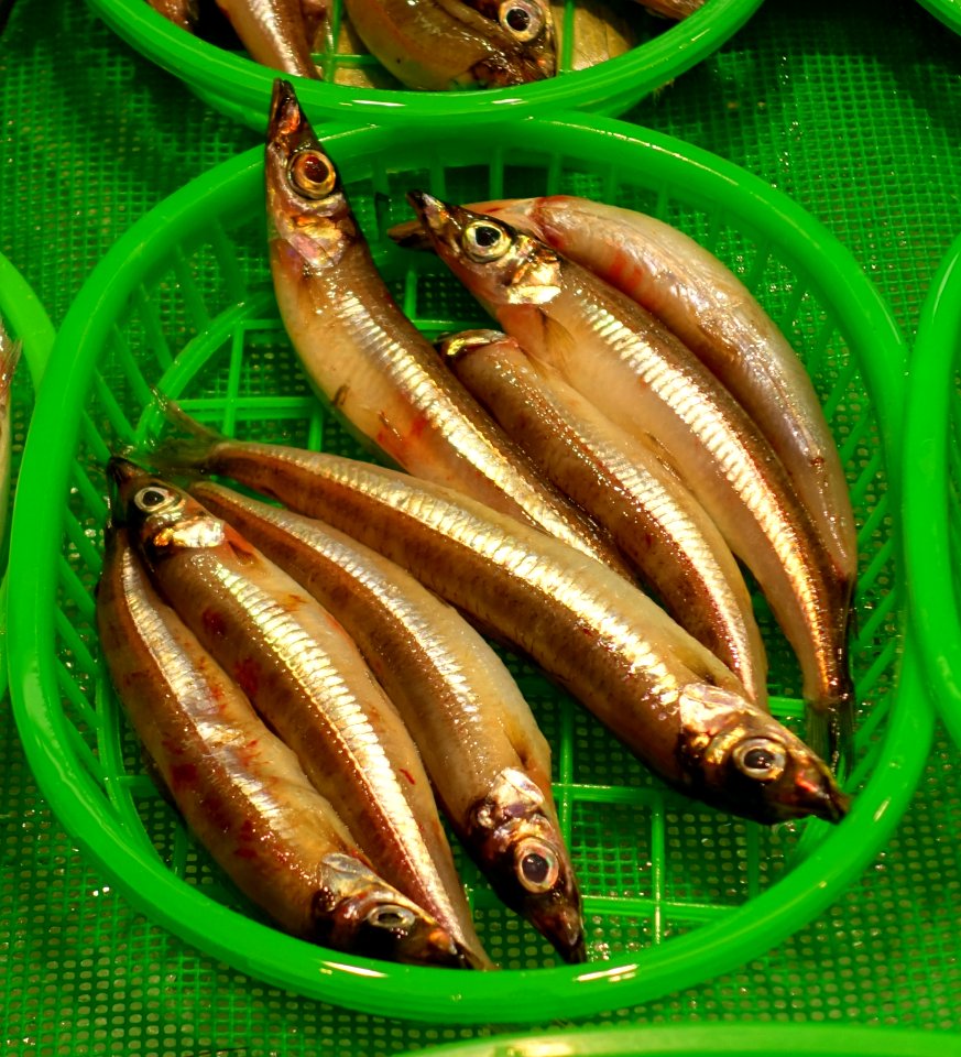 Fish - Omicho Ichiba - Kanazawa, Japan - DSC09646