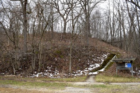 Fish Farm Mounds State Preserve