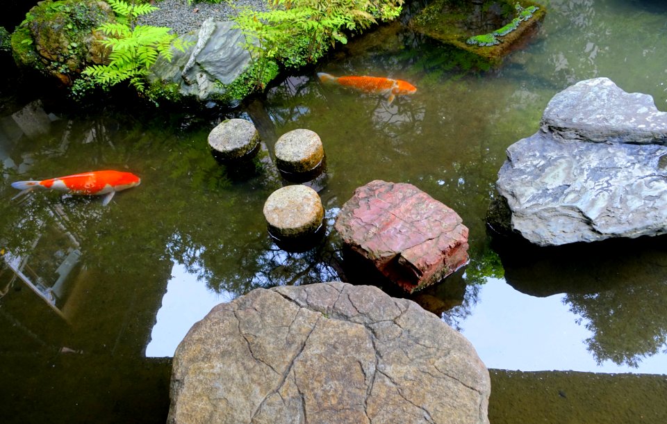 Fish - Nomura Samurai Family Residence - Nagamachi - Kanazawa, Japan - DSC00433