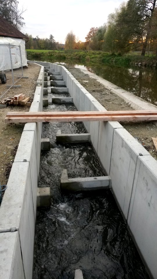 Fischtreppe in Rißtissen