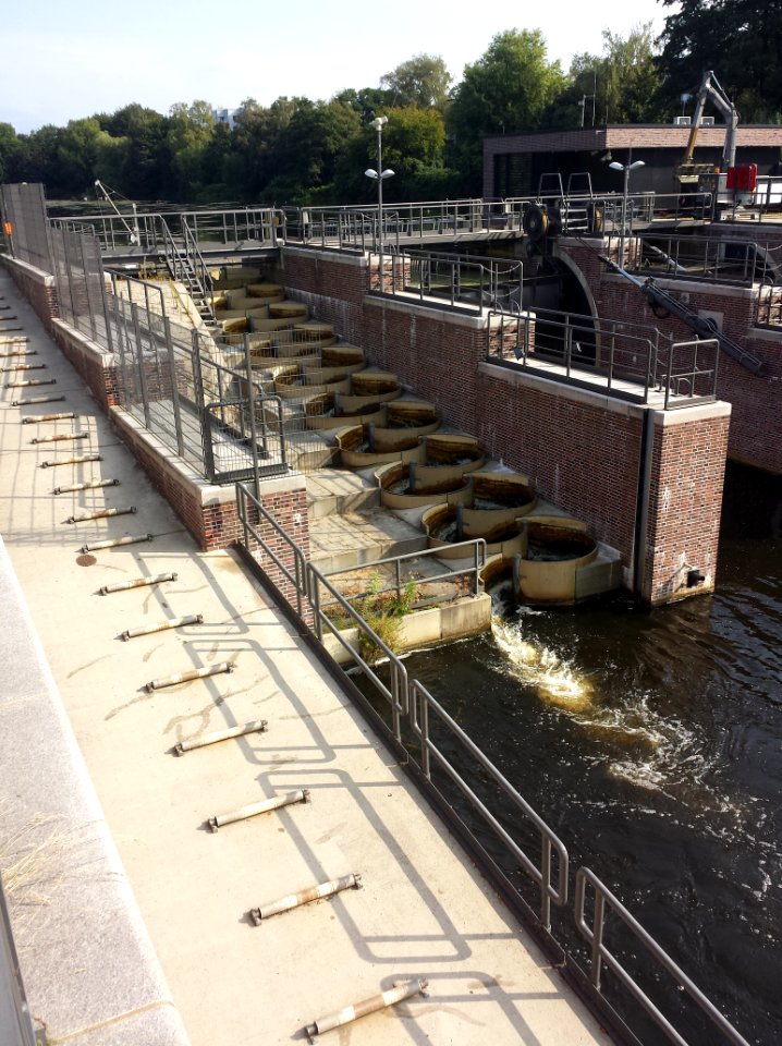 Fischtreppe an der Fuhlsbütteler Schleuse