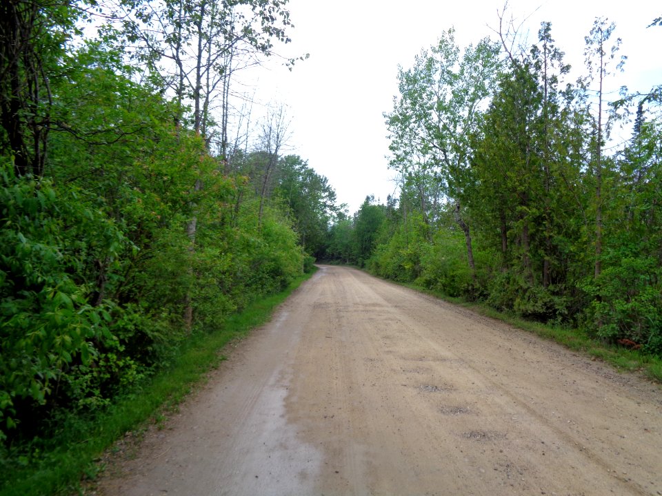 Fisherman's Island State park roadway