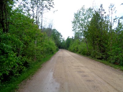 Fisherman's Island State park roadway