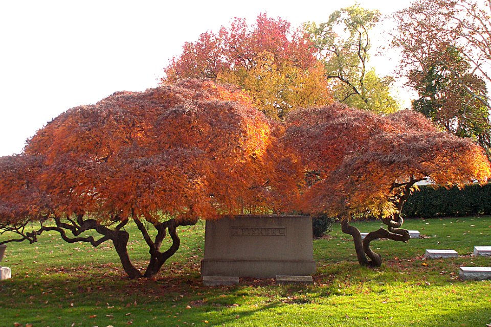 Fisher Monument, Allegheny Cemetery, 2015-11-02, 01