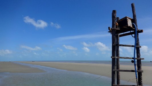 Fisherman Support (168363301)