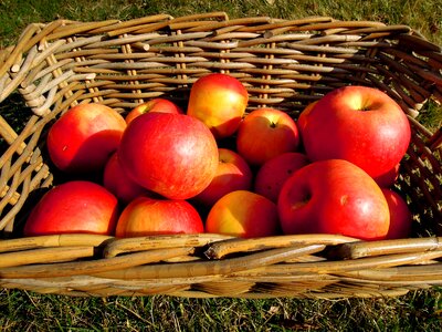 Fruit basket red photo