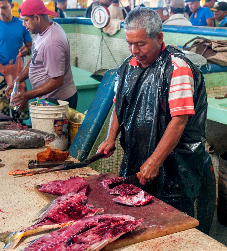 Fish vendor in Los Cocos Fish Market 2