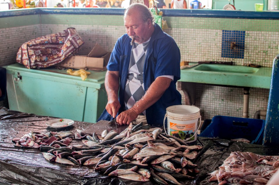 Fishmonger fish cleaning 4