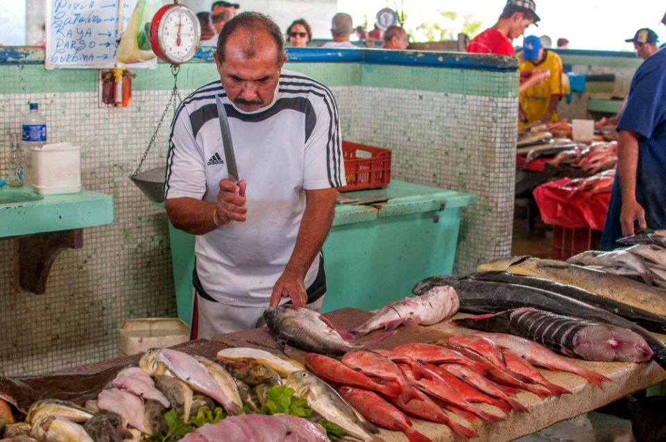Fishmonger fish cleaning