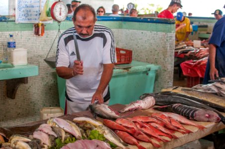 Fishmonger fish cleaning