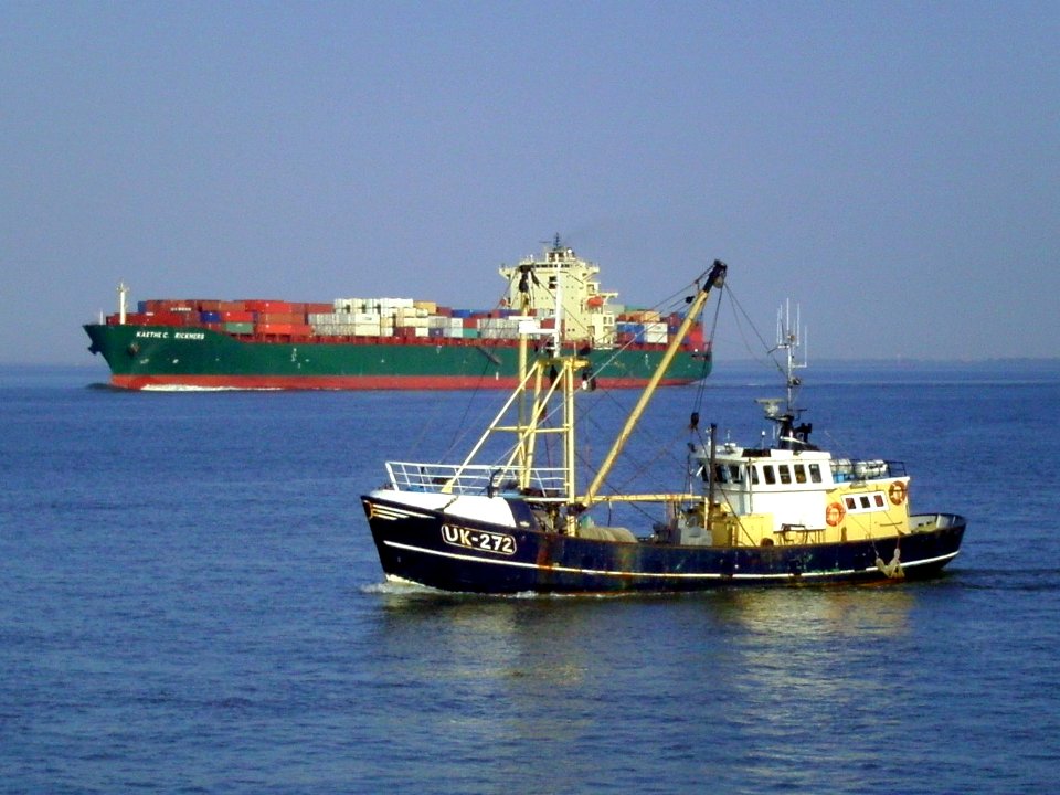 Fishing vessel and container ship