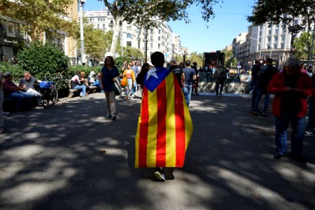 Flag (228929895)